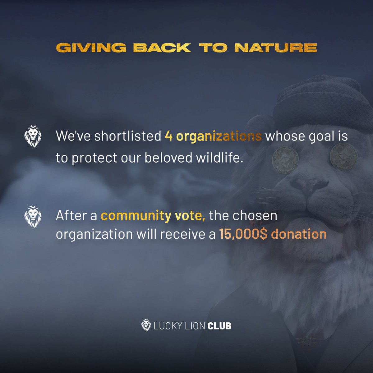 Lucky_Lion_Club's tweet photo. Giving back to the Wild Life 🌴  We’ve shortlisted 4 Wild Life support organizations to which after a vote from our Community we will be donating $15.000.   Lions support Lions 💛  5/6 https://t.co/s657OZZGtW