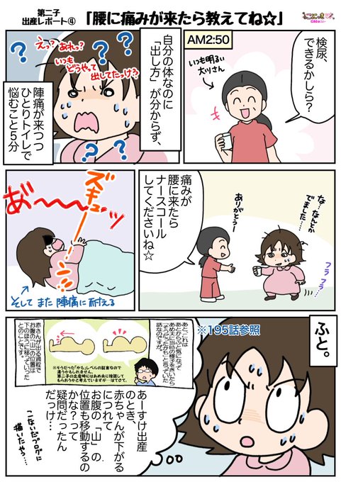 6xev4j2t5useum