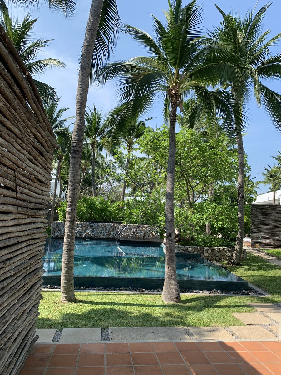 whyyousobibi's tweet photo. Putahracsa Huahin — เราพักห้องไทป์ Sandsky ซึ่งจะไม่ได้วิวทะเล ห้องสวยดีเฟอร์เป็นแบบ low height หมดเลย ให้ฟีลติดดินดี มินิบาร์ทานได้หมด เซอร์วิสอืมๆ

📍หัวหิน
#รีวิวที่พัก #รีวิวโรงแรม #รีวิวหัวหิน #หัวหิน https://t.co/1REyEliaFV