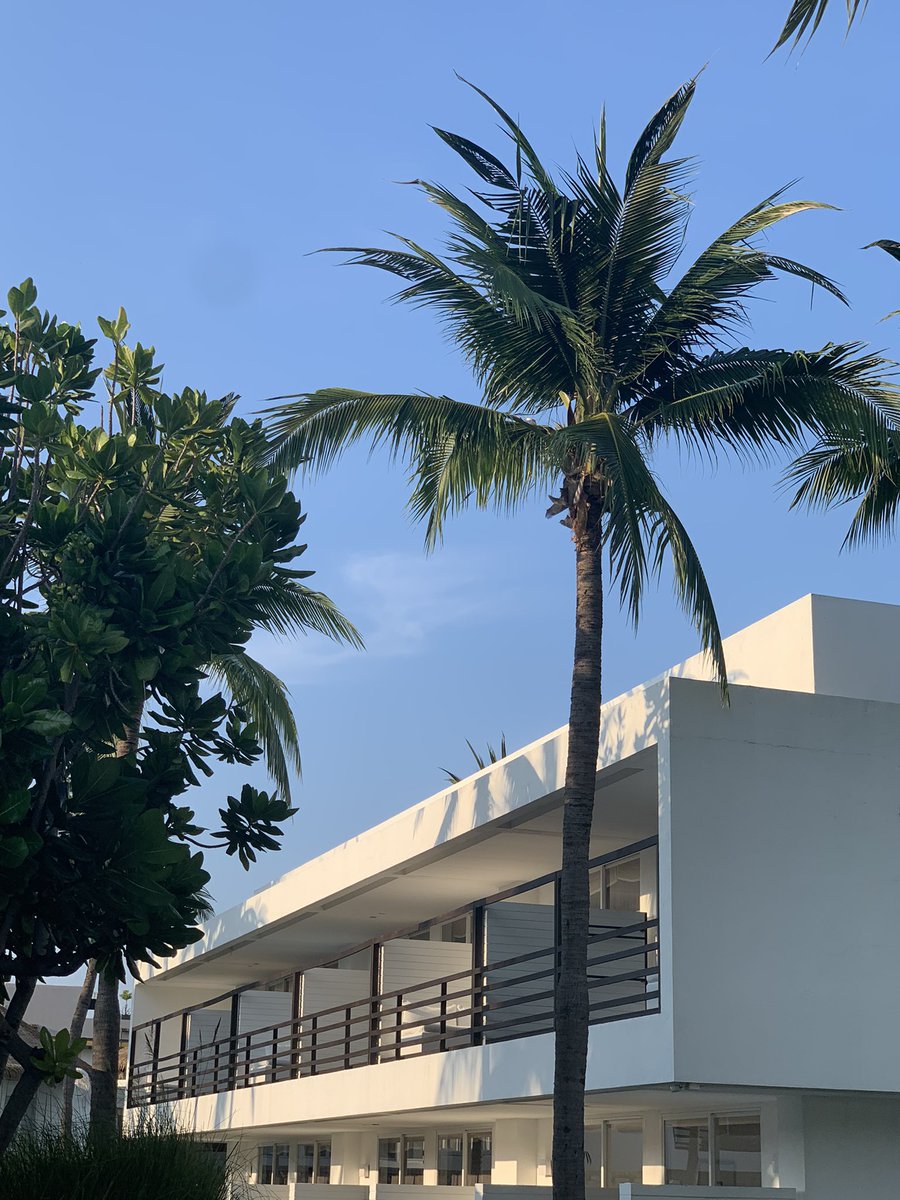whyyousobibi's tweet photo. Putahracsa Huahin — เราพักห้องไทป์ Sandsky ซึ่งจะไม่ได้วิวทะเล ห้องสวยดีเฟอร์เป็นแบบ low height หมดเลย ให้ฟีลติดดินดี มินิบาร์ทานได้หมด เซอร์วิสอืมๆ

📍หัวหิน
#รีวิวที่พัก #รีวิวโรงแรม #รีวิวหัวหิน #หัวหิน https://t.co/1REyEliaFV