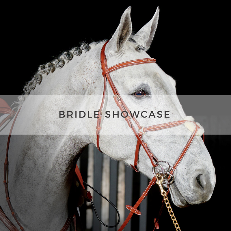 Whitaker Bridle Showcase Click for more details- mailchi.mp/johnwhitaker.c…