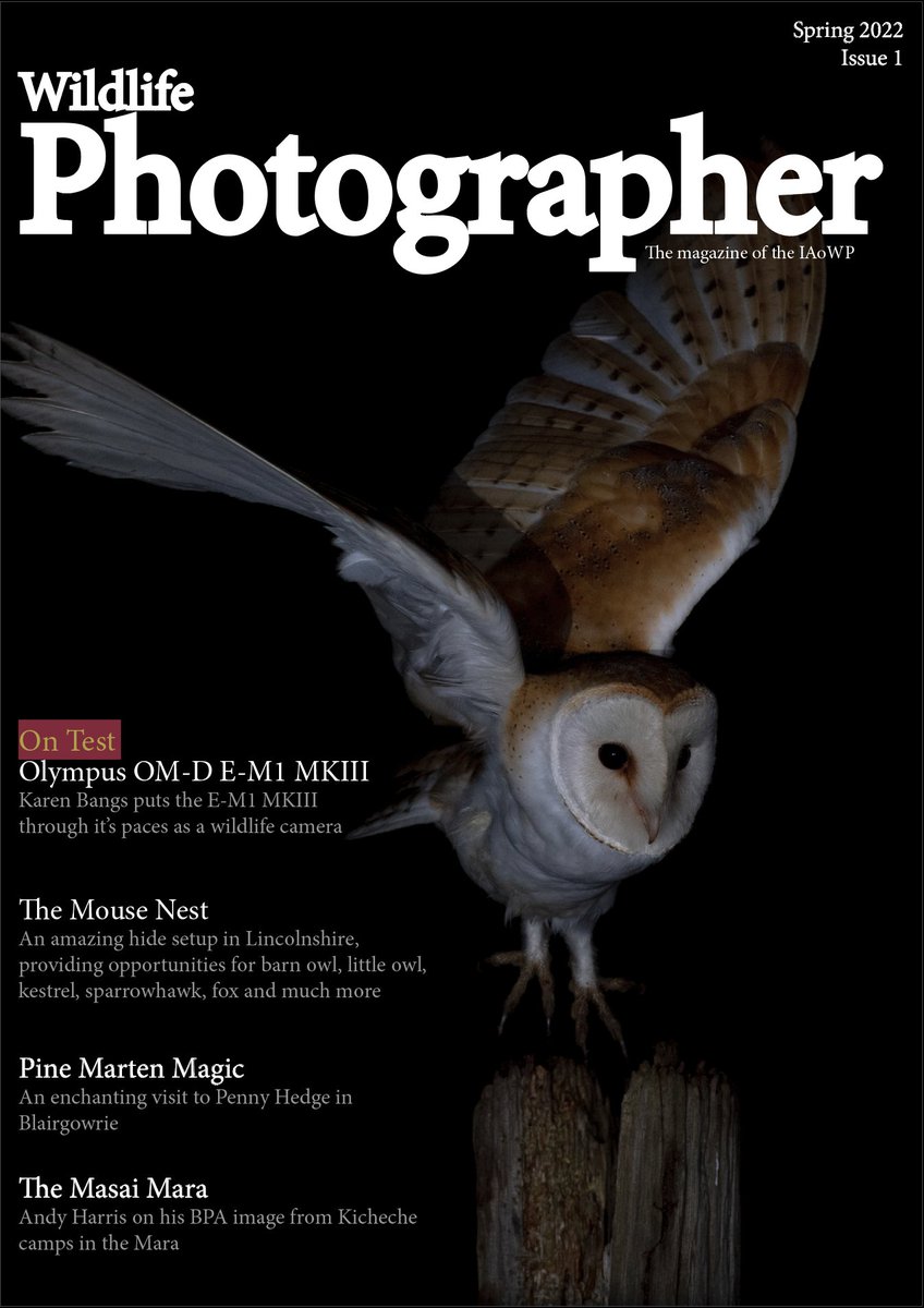 The countdown begins! less than 3 weeks now until the launch of the IAoWP magazine - only available to members. Join at iaowp.com <a href="/IAOWP1/">IAOWP</a> <a href="/themousenest/">themousenest</a> <a href="/AlanMcFadyen2/">Scottish Photography</a> <a href="/Scott_Country/">Scott Country</a> @Benro_UK <a href="/UKNikon/">Nikon UK & Ireland</a> <a href="/HOUKLTD/">Highland Outdoors</a> @InfiRay <a href="/howells_ian/">Ian Howells</a> <a href="/wildlifeimages/">Steve Race</a> <a href="/karenebangs/">Karen Bangs Photography</a>