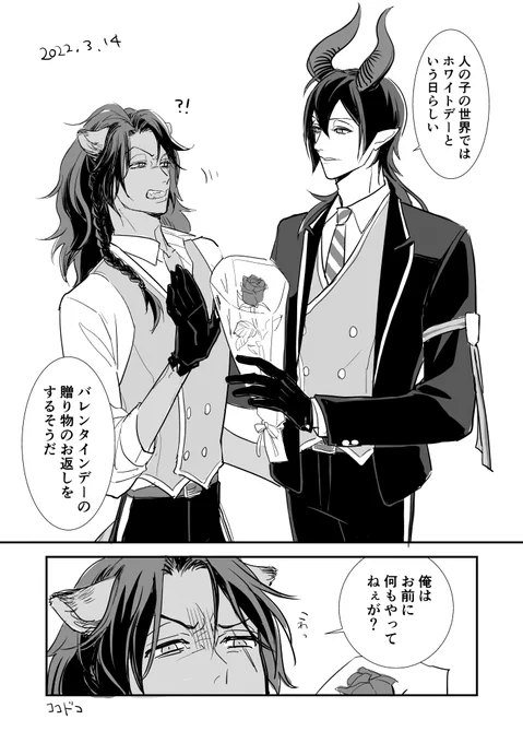 3/14マレレオ 