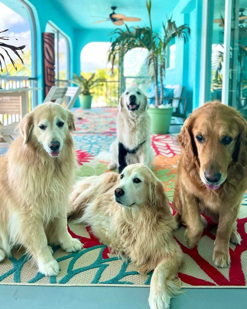 25% of the team understood the assignment today