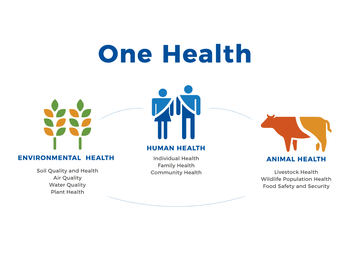 The #OPCIE and One Health Park aim to push the boundaries of #publichealth and #pandemic response through a unique One Health approach. #OneHealth embraces the knowledge that human, animal and environmental health are closely related. fal.cn/3mXAt