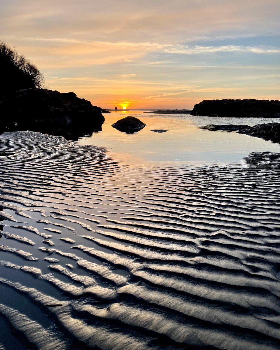 jonebr04's tweet photo. Sunset ripples 🌞🌊

#sunset #ripples #beach #pnw #pacificnorthwest #pacificocean #nature https://t.co/SWjVdejcXr