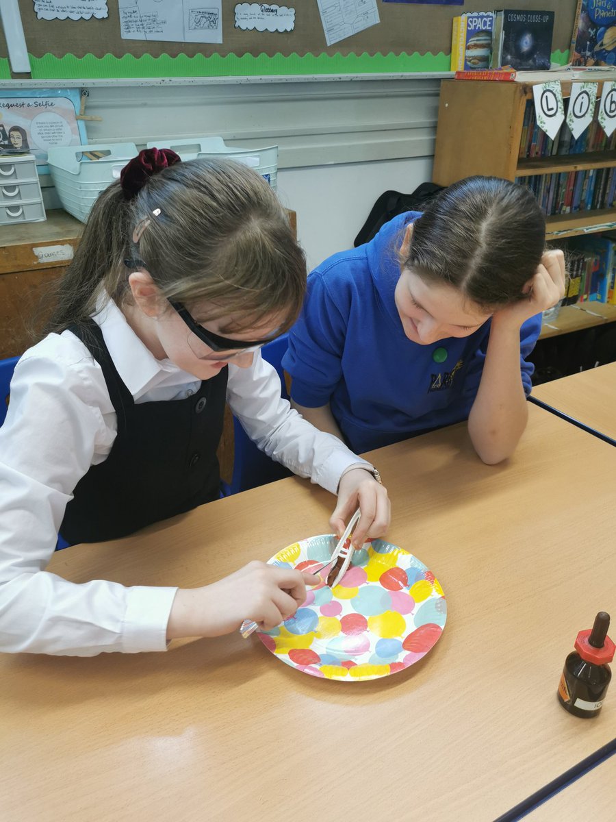 ParkPSClacks's tweet photo. P6 were investigating seed growth as part of British Science Week. Exploring the different parts of the seed that help it grow. They planted some to and are going to observe their growth over the coming weeks.
@MissJMcLean @ScienceWeekUK https://t.co/suAEnbsPm5