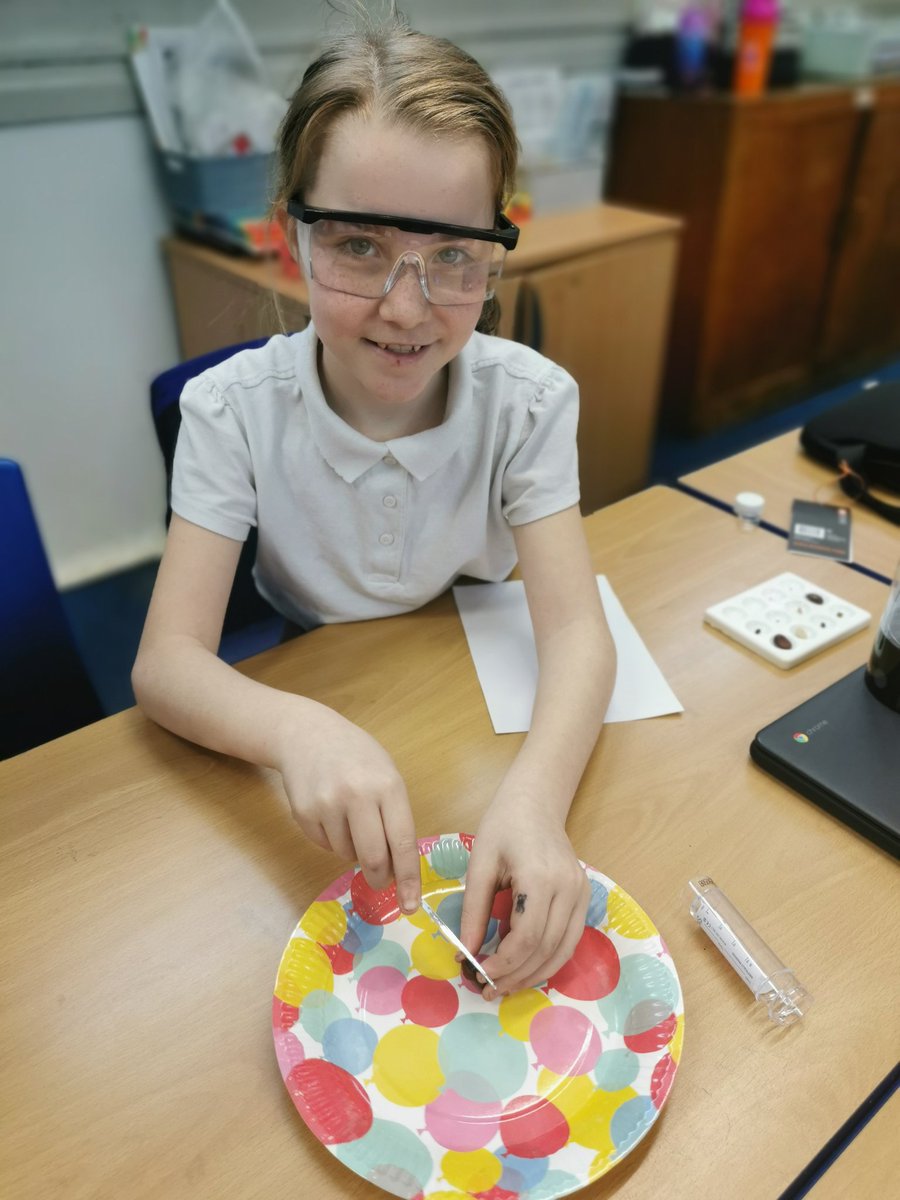 ParkPSClacks's tweet photo. P6 were investigating seed growth as part of British Science Week. Exploring the different parts of the seed that help it grow. They planted some to and are going to observe their growth over the coming weeks.
@MissJMcLean @ScienceWeekUK https://t.co/suAEnbsPm5