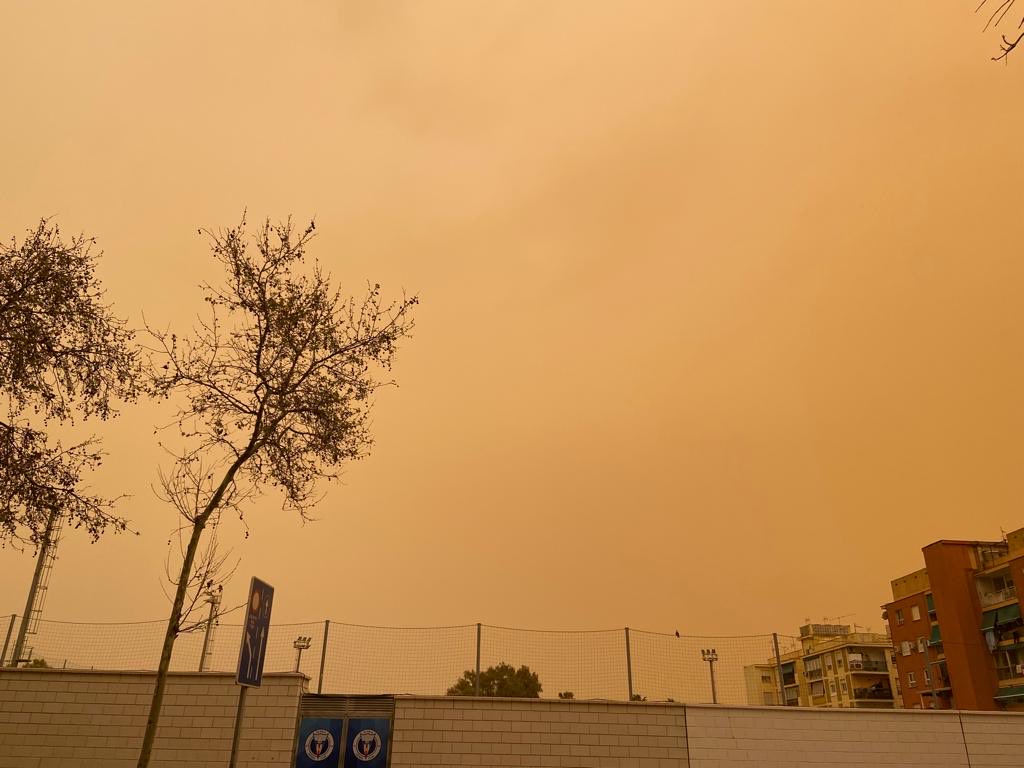 Davidalonso2010's tweet photo. Ante el dolor de la guerra el cielo se puso rojizo. Y nos olvidamos de nuevo de otras víctimas, de otros éxodos. Ignoramos el nombre de sus ciudades y el color de sus banderas. El viento nos trajo su arena para se nos metiera en los ojos y respiráramos el mismo desierto #Calima https://t.co/27B5uKg4xR