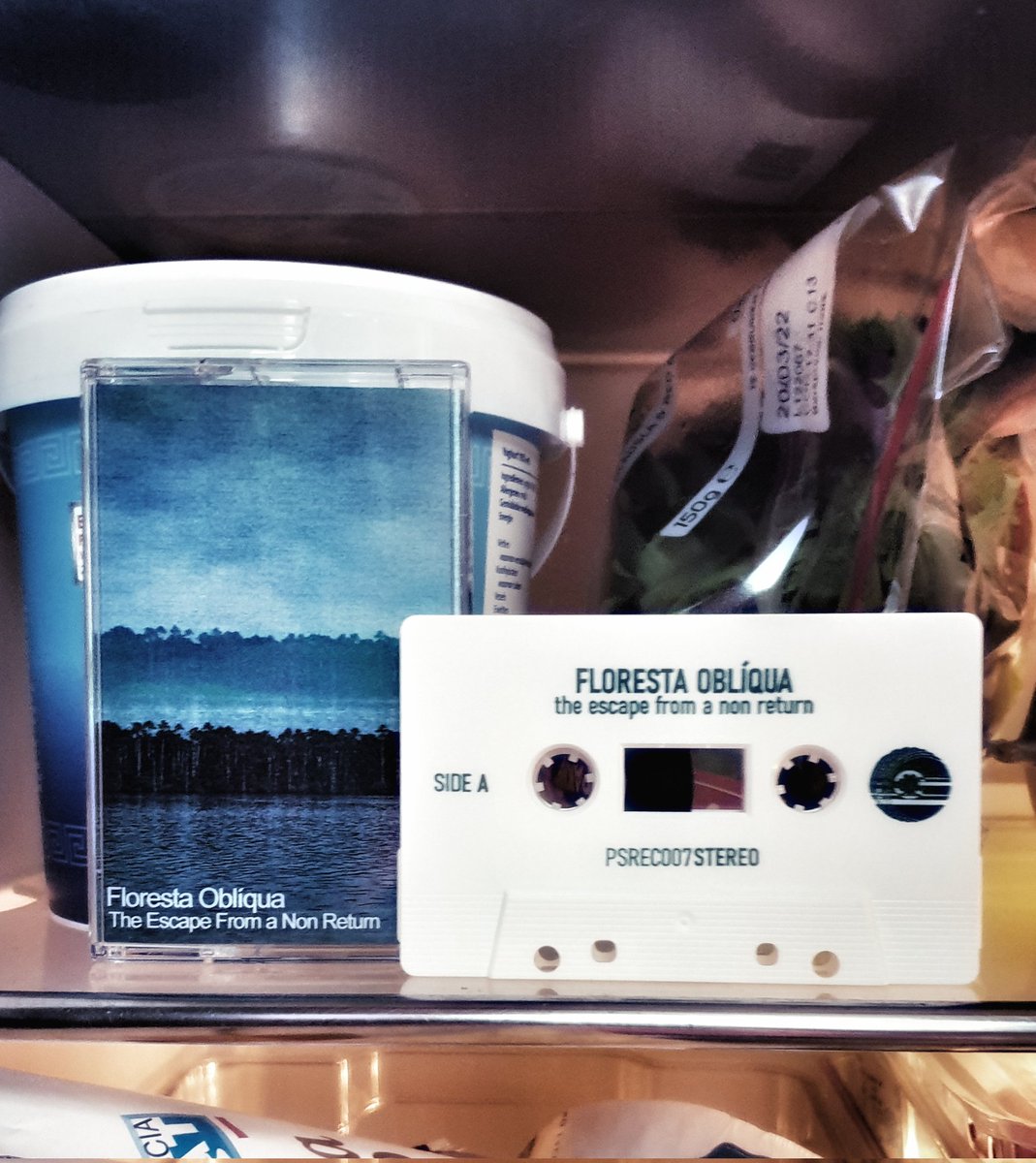 this perk arrived today.

<a href="/prisma_sonora/">Prisma Sonora Records</a>