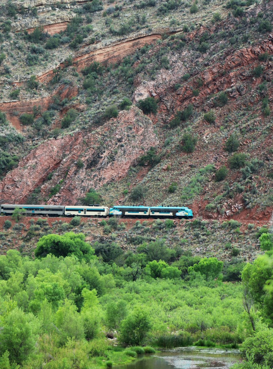 VerdeCanyonRail's tweet photo. Arizona's Longest-Running Nature Show, Verde Canyon Railroad's Wilderness Route is an escape from the ordinary. #SpringBreak #SpringInAZ @ArizonaTourism @SedonaAZ @clarkdaleAZ https://t.co/YXecpKhJU3