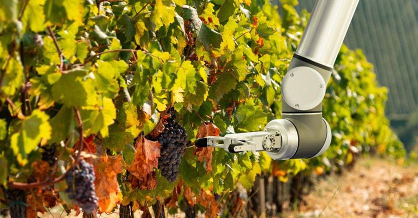 #Agricoltura40: gli investimenti sono esplosi passando da un fatturato di 540 MLN di euro nel 2019 agli 1,3 MRD del 2020 per poi approdare a 1,6 MRD di euro a fine 2021 con un ulteriore balzo del 23% in 12 mesi ▶️ilsole24ore.com/art/agricoltur…