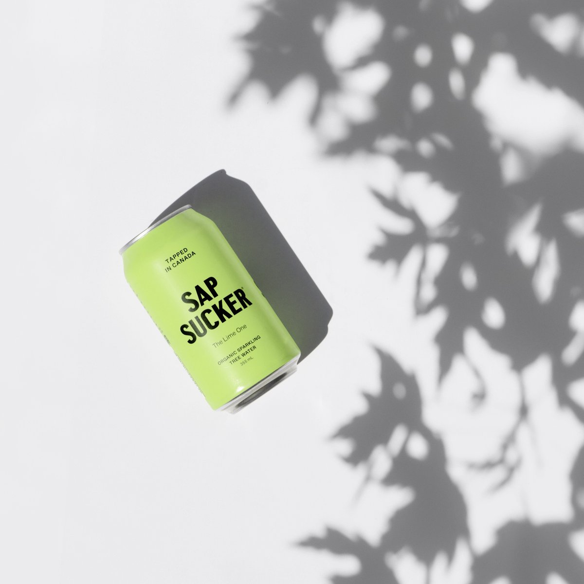 Sapsucker – Organic Tree Water tweet media