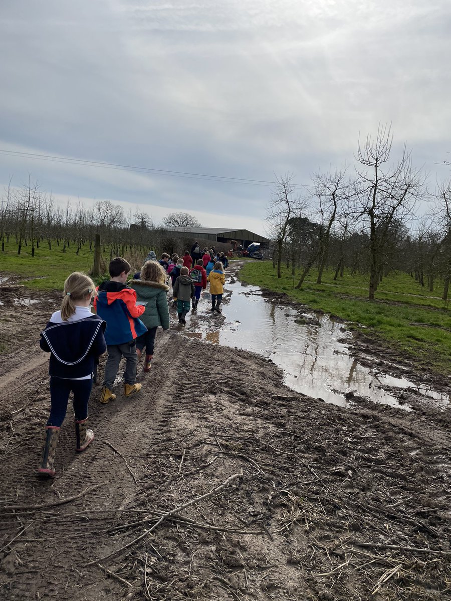 BosburyPrimary's tweet photo. What a fabulous experience Class 2 had this afternoon! Thank you so much to Rachel and Ben Blandford for having us. Our tour guides were so confident and knowledgeable so a huge thank you to them too!#farmtopic #reallifelearning #amazingexperience https://t.co/UBpY0c0b1t