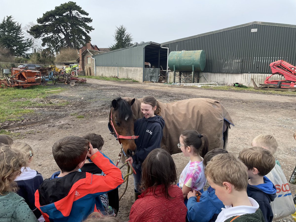 BosburyPrimary's tweet photo. What a fabulous experience Class 2 had this afternoon! Thank you so much to Rachel and Ben Blandford for having us. Our tour guides were so confident and knowledgeable so a huge thank you to them too!#farmtopic #reallifelearning #amazingexperience https://t.co/UBpY0c0b1t
