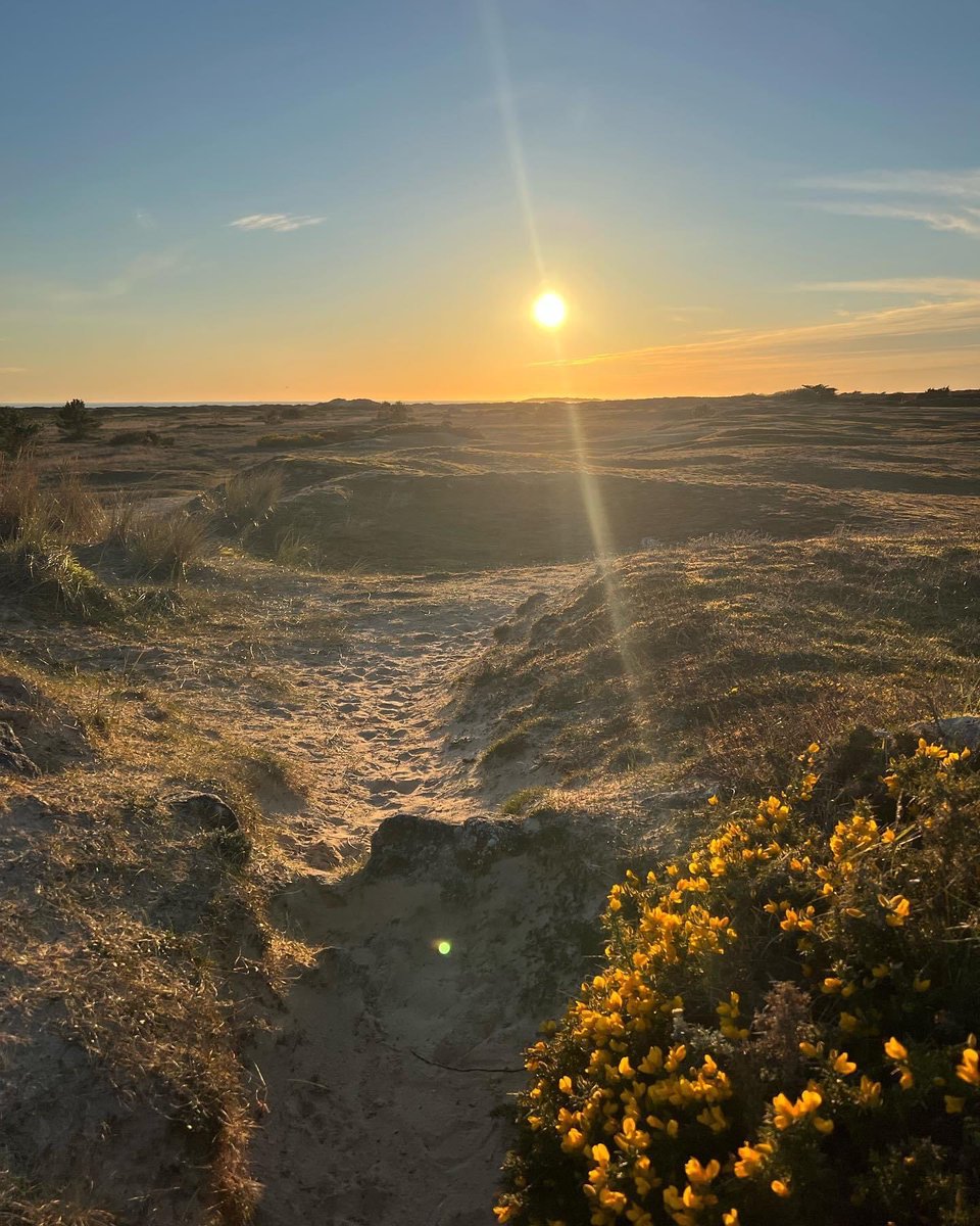GGTHOM's tweet photo. Quiberon https://t.co/neHhLmdCZE