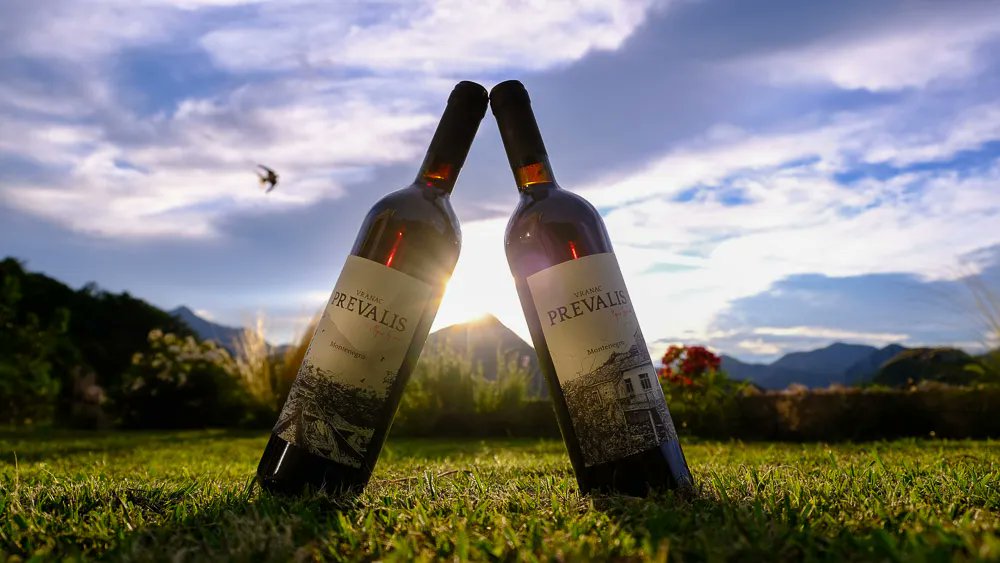 meanderbug's tweet image. New pics loaded for the Prevalis Estate near Skadar Lake. Wish we could load 50 more pics. But, because we can't you should go and take your own. 
#microwinery #nationalpark #Montenegro