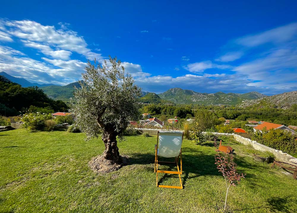 meanderbug's tweet image. New pics loaded for the Prevalis Estate near Skadar Lake. Wish we could load 50 more pics. But, because we can't you should go and take your own. 
#microwinery #nationalpark #Montenegro