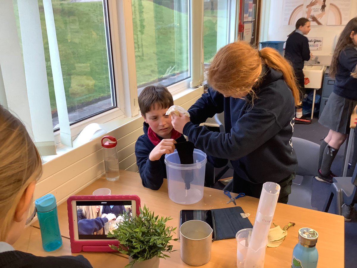 SkelmorlieSch's tweet photo. Primary 6/7 have been really enjoying their human body topic. They had a lot of fun creating a model of the digestive system, which helped to aid their understanding. https://t.co/anSdbdjN2T