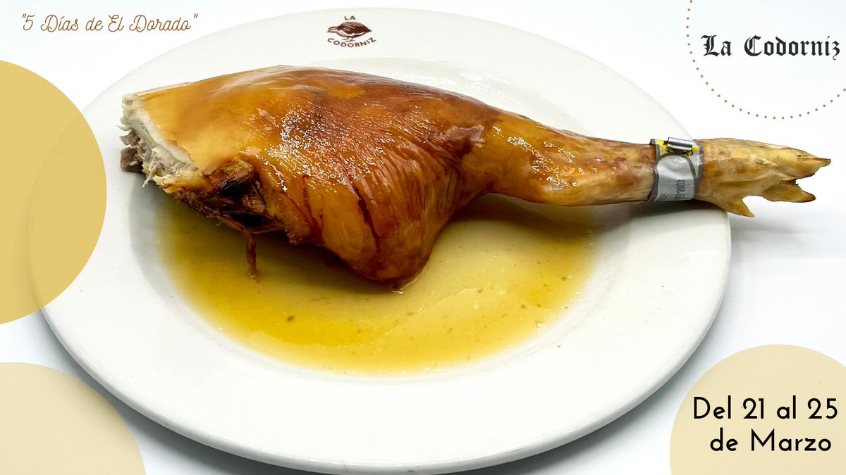 Crujiente por fuera, tiernecito y jugoso por dentro.
El manjar por excelencia de la cocina segoviana 🐷 al 50% sobre el precio marcado en carta, y asado con mucho mimo por el maestro asador Alfonso García De Frutos. 🧑‍🍳

Reservas: 📲 921 46 38 97

#Cochinillo #Restaurante