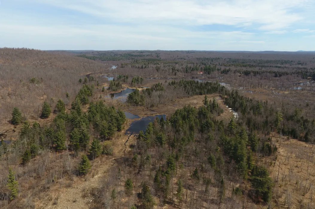 4wildplaces's tweet photo. Exciting new project in New York to create the Grasse River Wilderness Preserve. Protecting this land will help forge a habitat connection between Adirondack Park and Canada. Learn more and donate to #savethisland here: https://t.co/47eeGJJvWz
📷 Fountains Land, Inc. https://t.co/euhg7S7CiB