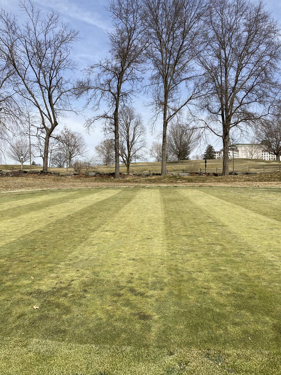 MacShanks's tweet photo. Who does not love the smell of fresh cut grass! https://t.co/rj69CvkZiu