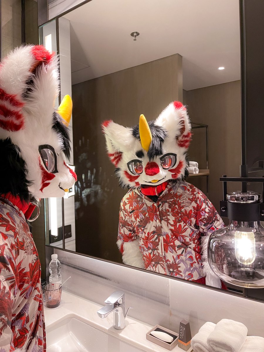 Aaron_Littlesea's tweet photo. I see u～in the mirror

#FursuitEveryday https://t.co/2WC5vx9G85