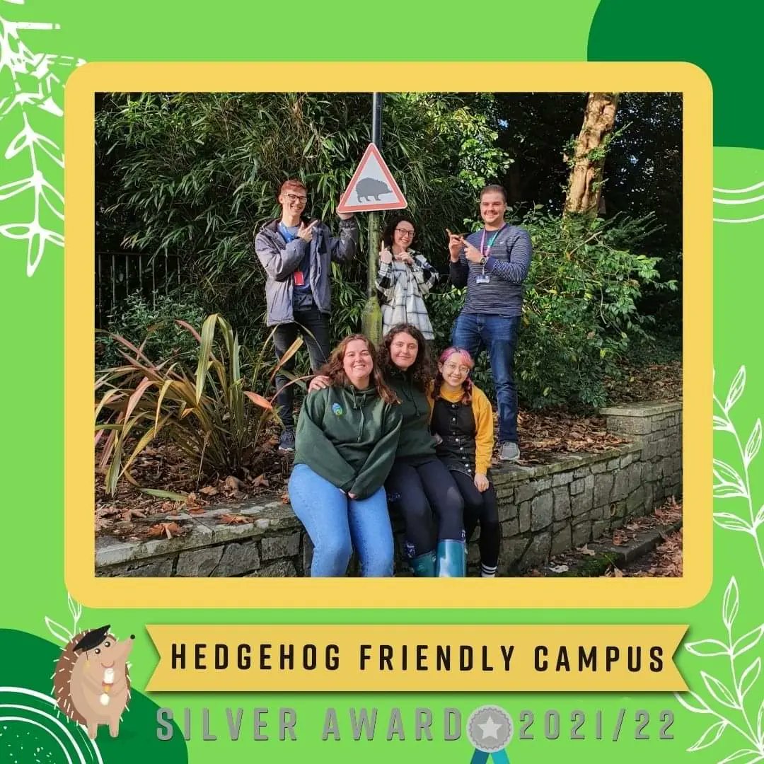 SwanHog's tweet photo. Helo pawb! 🏴󠁧󠁢󠁷󠁬󠁳󠁿
It's official!
We've been awarded our Silver Award for Hedgehog Friendly Campus!
A huge thank you to everyone who took part in making this happen!
Our hard work paid off! 
Diolch pawb! 🎉🎉
@su_conservation @swanscience 
@SwanseaUni https://t.co/fO8mEDJOyK