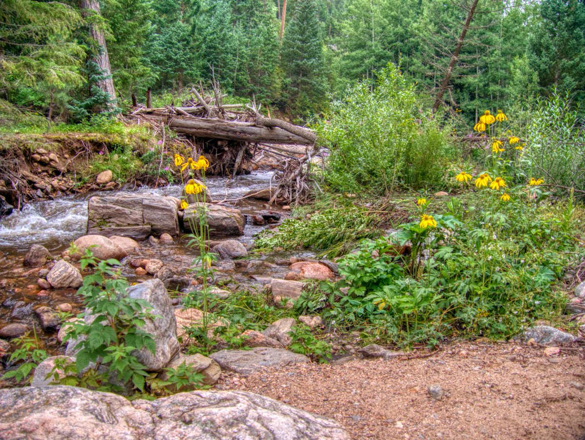 jscherer32's tweet photo. With winter getting to many of us, I thought I'd share this photo from a hike last summer. Can anyone guess where this was? https://t.co/jyrrNieuOP