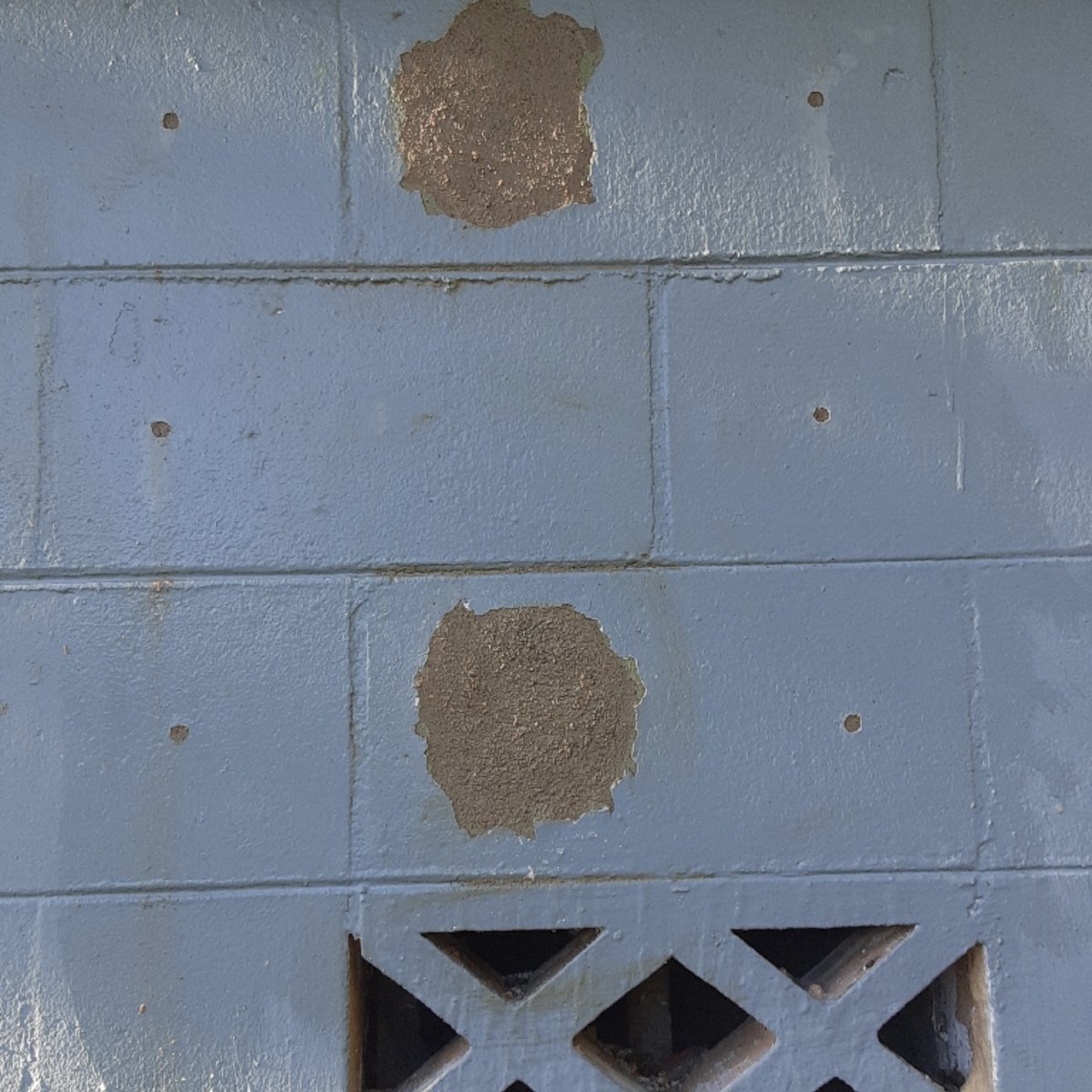 orlandobeeguy's tweet photo. 📸The FLIR catches the colony through all sorts of materials (including concrete block)! This is so we can make as little mess as possible 👷🏼‍♂️👷🏼‍♂️👍🏻
Here’s the FLIR in action with a before and after pic... A tool like this helps makes it look like the guys weren’t even there!! 😁 https://t.co/Fq6NTk5puz