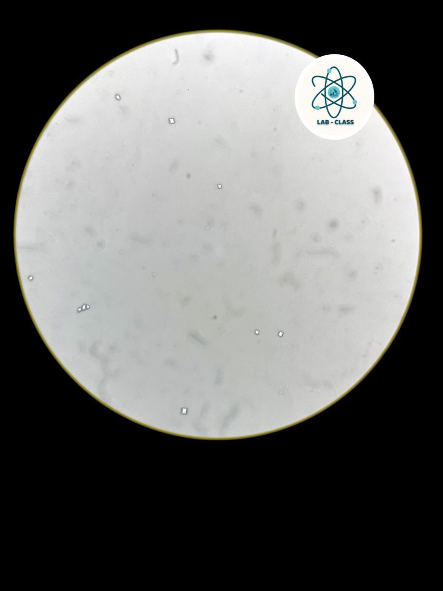 LabClass1206's tweet image. Oxalatos de Calcio Dihidratados 

#Uroanalisis #LaboratorioClinico #Lab #Clinico #Cristales