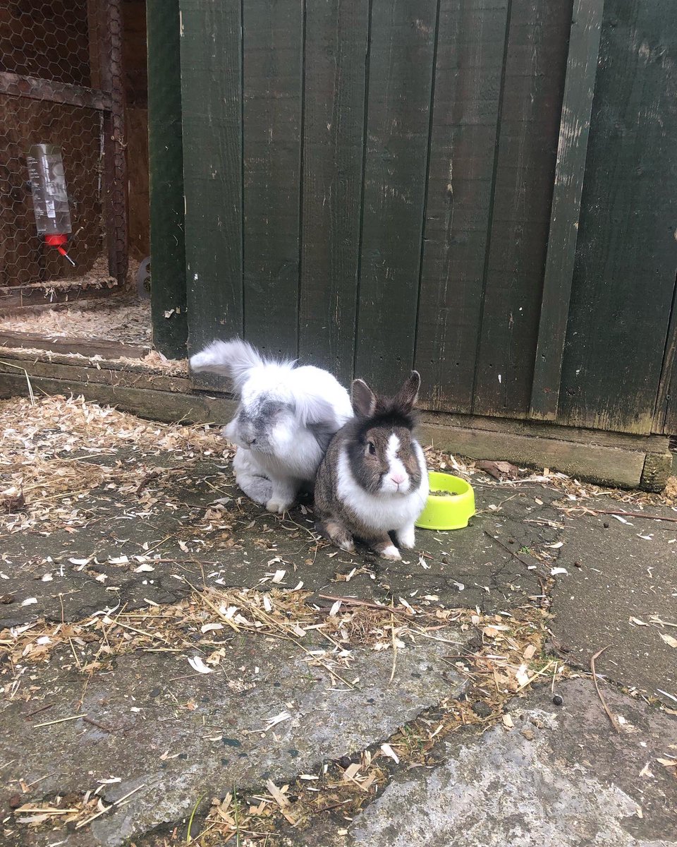 LOVE Learning tweet media