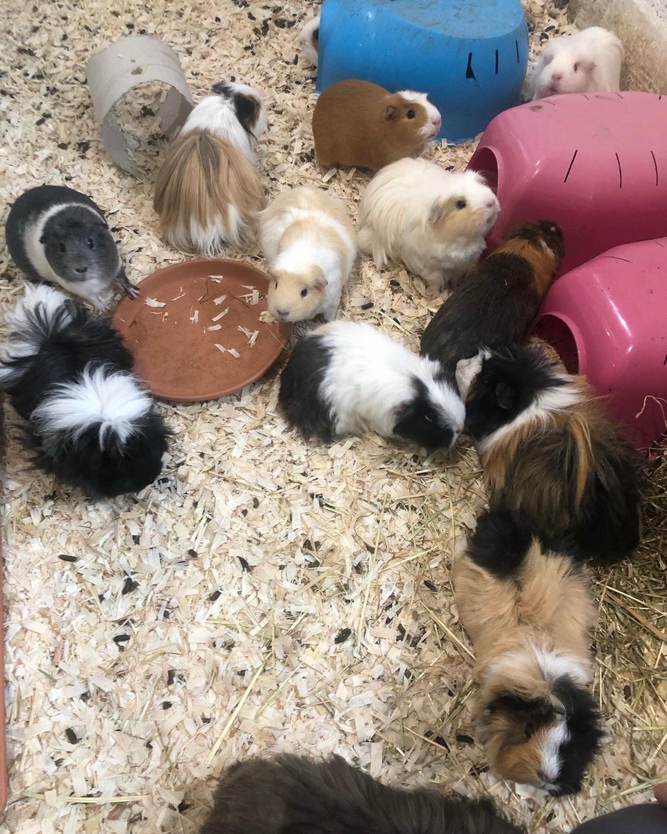 LOVE Learning tweet media