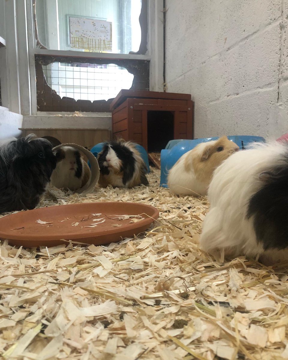 LOVE Learning tweet media