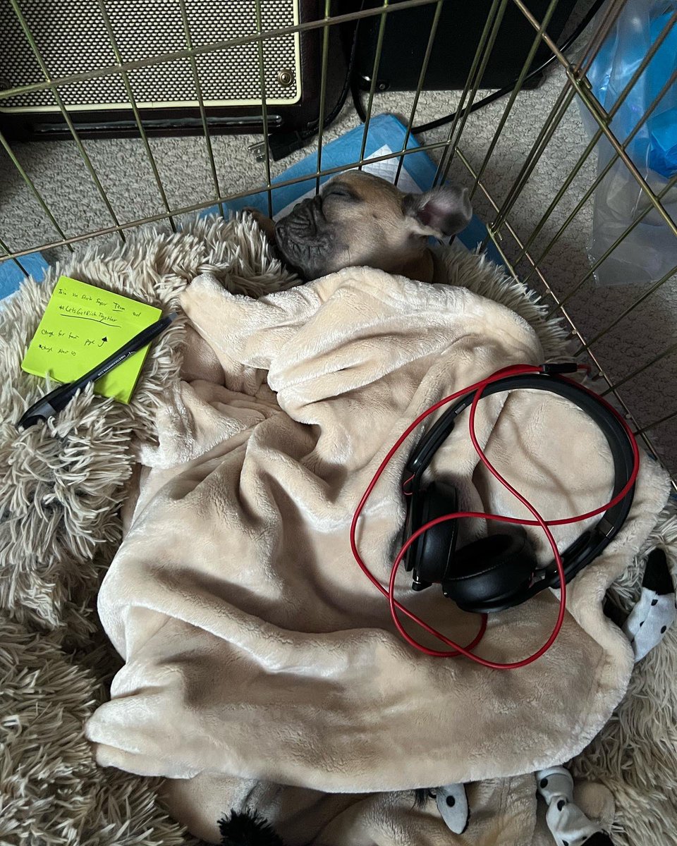 StocksniperTeam's tweet photo. Introducing the newest Sniper to the team, Sniper Gnocchi!

#StockSnipers #SniperDog #BullMarket #BearMarket #DogMarket #FrenchBulldogs #Frenchies https://t.co/oYa2WUn7s9