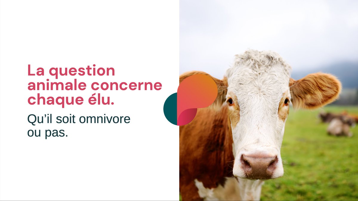 PPartenaire's tweet photo. 🚨 Élu(e)s !

👉 Retrouvez un article sur la question animale pour les élu(e)s.

Merci à Alexandra Siarri pour son article !

Retrouvez cet article sur notre site internet !
Ou directement sur le lien ci-dessous👇
https://t.co/HnZ132uDec https://t.co/b6atAtJO79