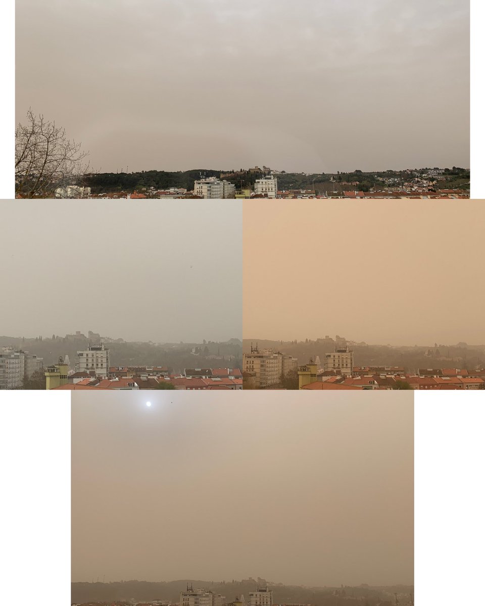 Pipia's tweet photo. Impressionante #AreiasDoSahara https://t.co/DZT7Yj6u5v