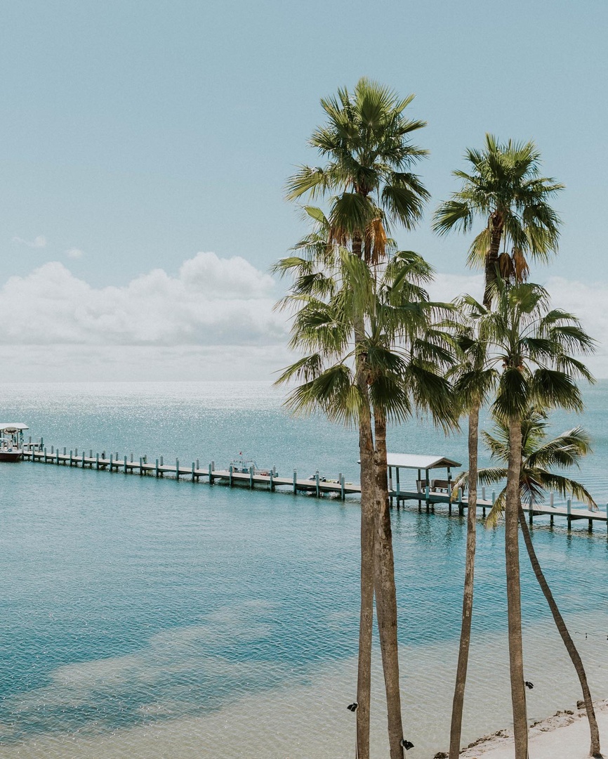 cheecalodge's tweet photo. The gust of ocean wind, the splash of sea spray—needless to say, there’s no setting quite as magical as Cheeca 🤍✨ 

📸 chelseaerwinweddings via bluewaterweddings  | #CheecaLodge https://t.co/0Pf9R4QSqF