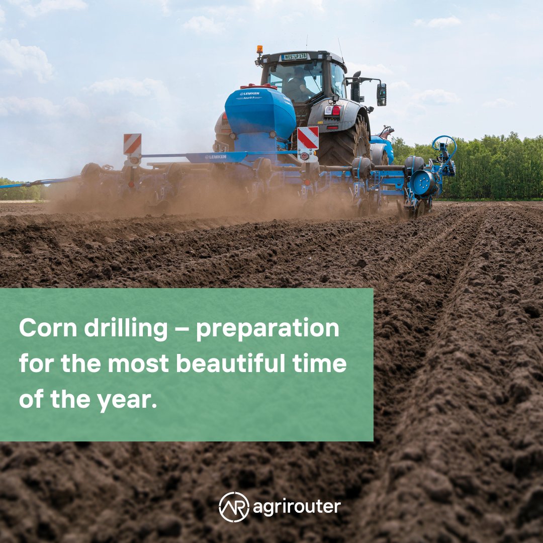 🌽 The best time of the year? Without a doubt, the corn season.

🌱💪 For now, though, it's time for sowing.