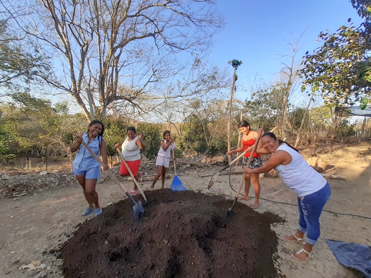 Nuestros proyectos en campo refuerzan los vínculos sociales en las comunidades rurales y fomentan el liderazgo femenino en las acciones de conservación del Bosque Seco Tropical💜

✨Preparación de sustrato para la siembra de semillas recolectadas de árboles nativos de la región✨