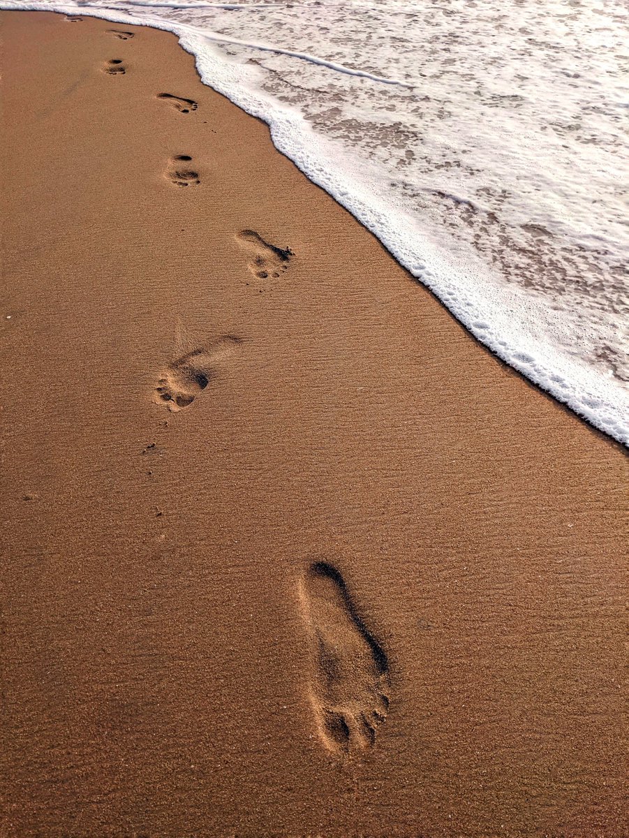 the burrow🦉 tweet media