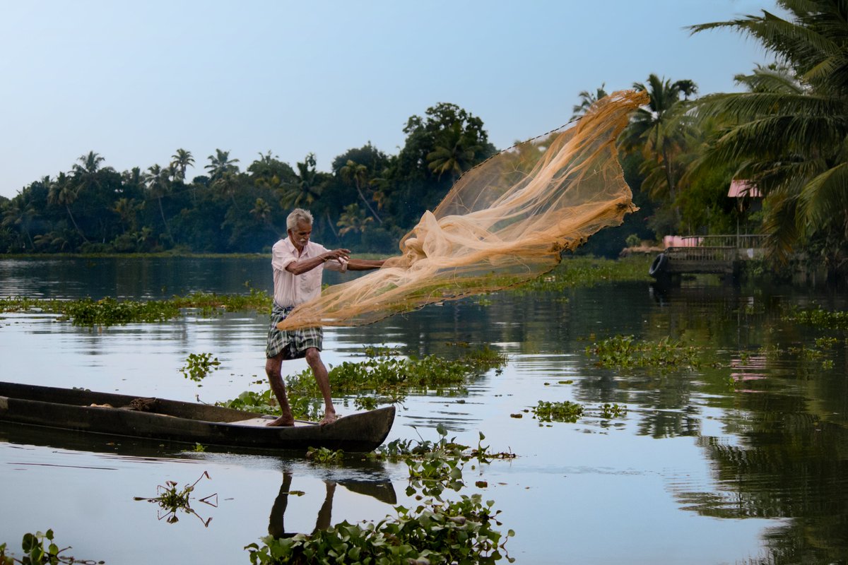 the burrow🦉 tweet media