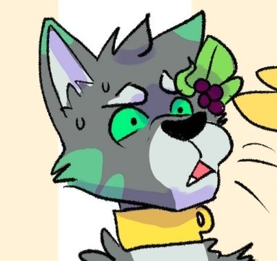 How the fuck did Amicus garner 3k followers in 3 days the best Amicus before him garnered 150 overall-