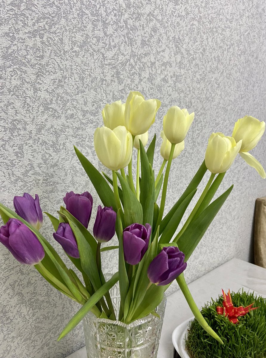 Ferish_21's tweet photo. Necə sevirəm🌷🌷🌷 https://t.co/dRmLWLbLh4