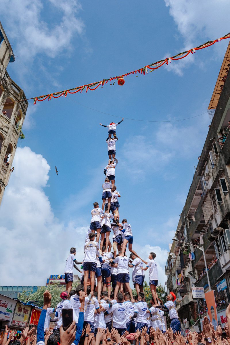 the burrow🦉 tweet media