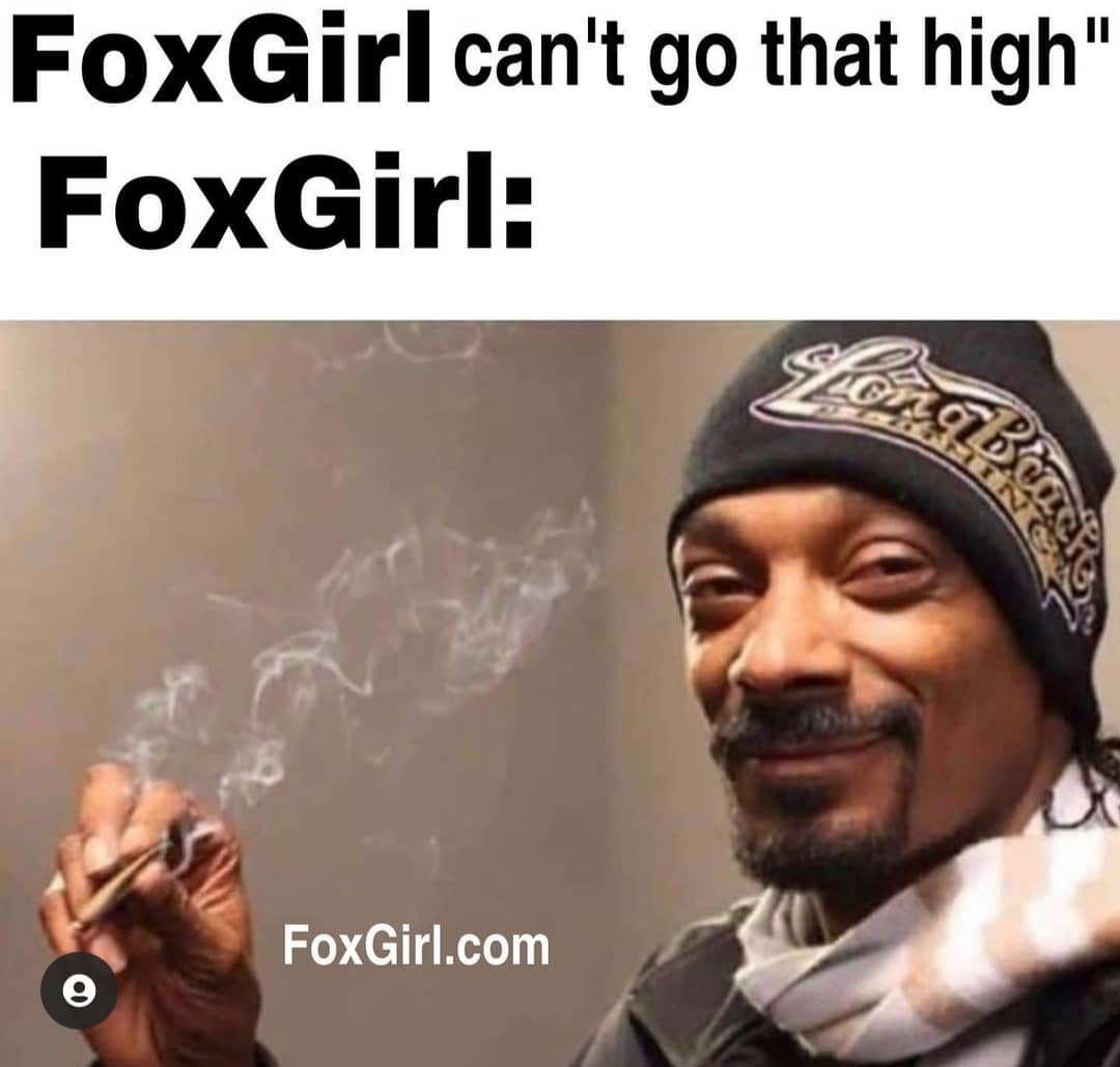 IsraelR82086155's tweet photo. @1goonrich Have you seen the meme foxgirl put out? I can't stand to laugh @foxgirltoken 📈🤣 https://t.co/z3P5qqLxss