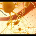 Photo by Hybrid Medical Animation (@HybridAnimation)