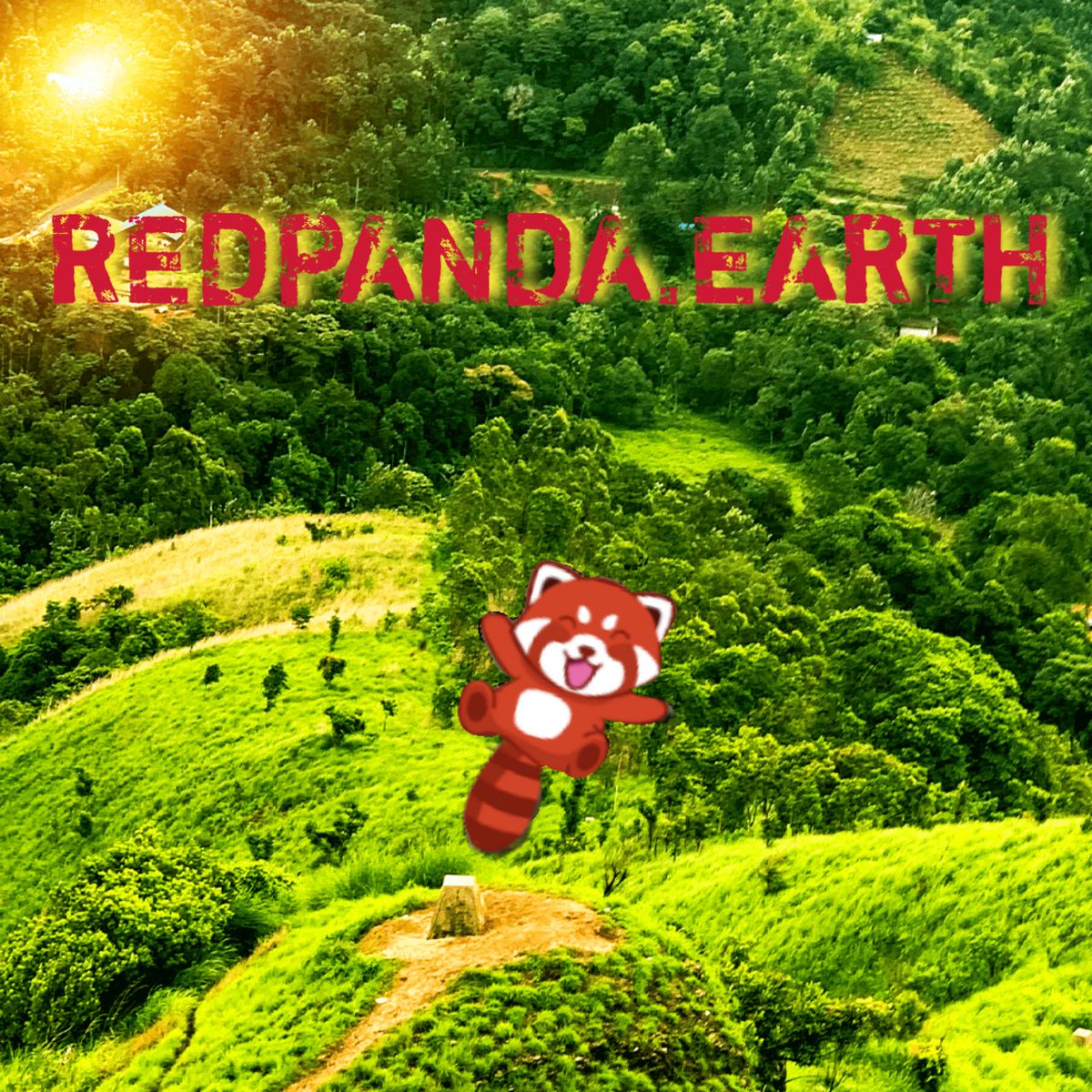 MrSotAman1's tweet photo. https://t.co/MbHnEthPhF is here to help endangered wildlife and there invorement which they live in😍
Investing in #redpandatoken earns you a passive income and doing charity at the same time😍
@redpandatoken let's start to make the deference for the 🌍
#TurningRed #Bitcoin https://t.co/wjxyaiJOon