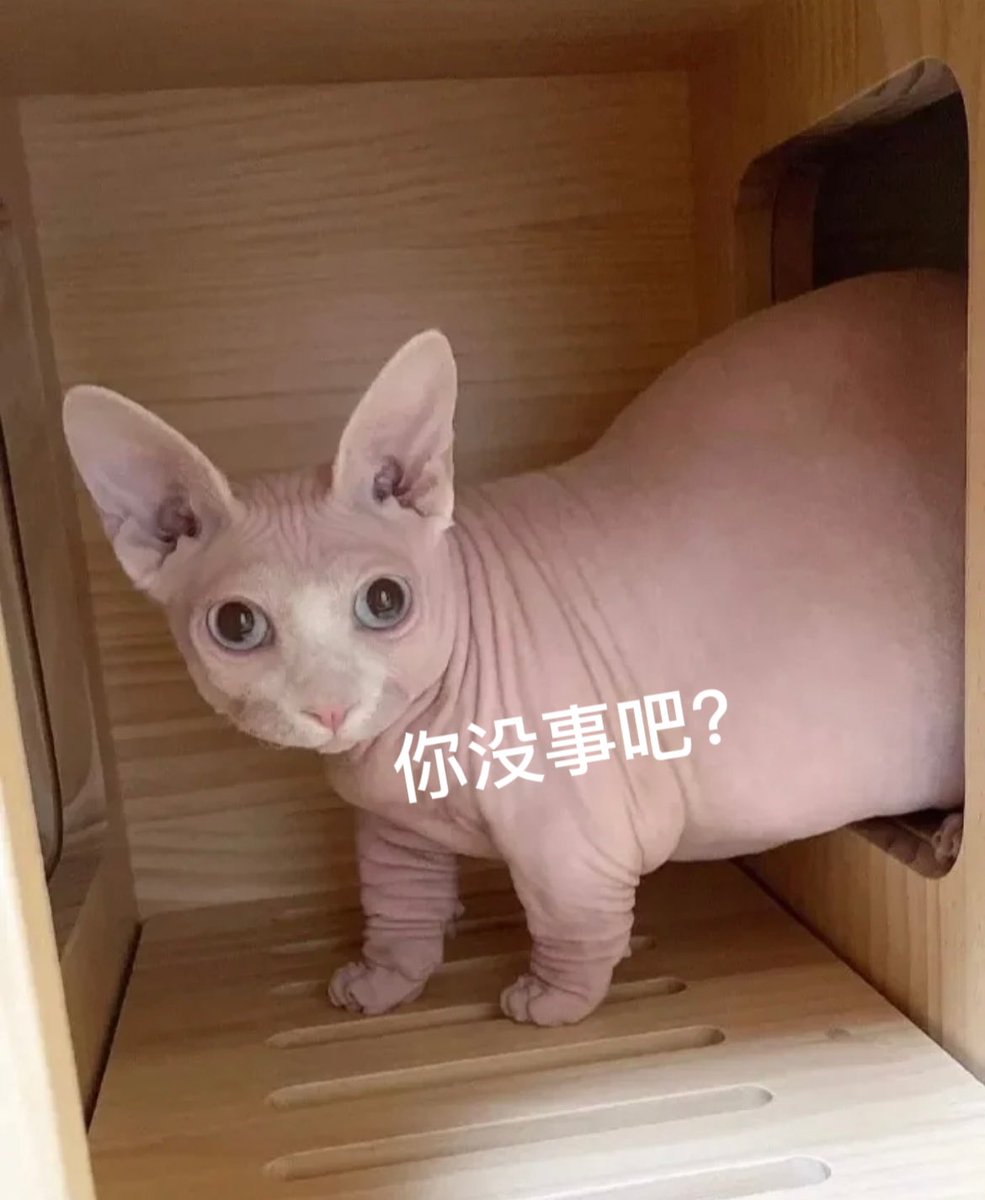 Dazhuanji's tweet photo. 每一个都是喜欢的，但是组合起来好像就味不对了 https://t.co/g281QNsDOz