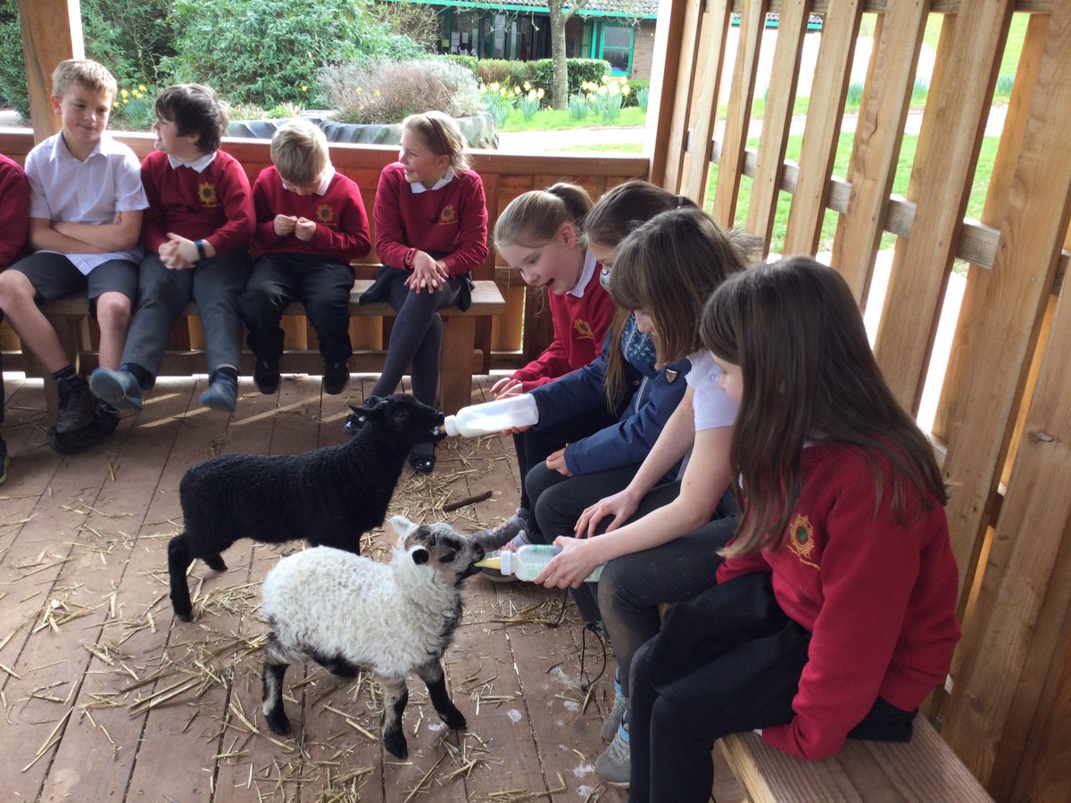 Blwyddyn 4 Cross Ash tweet media